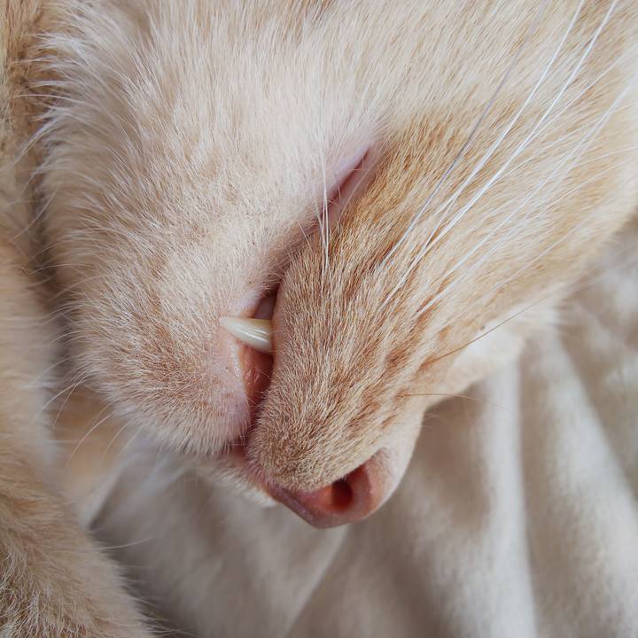 C887adad a0ee 4420 9b01 e04bea39291d 1653793718415