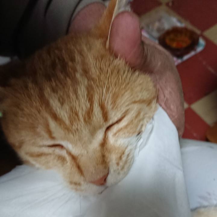 C8884e31 6213 418c b801 d354d10b5f85 1589672125780