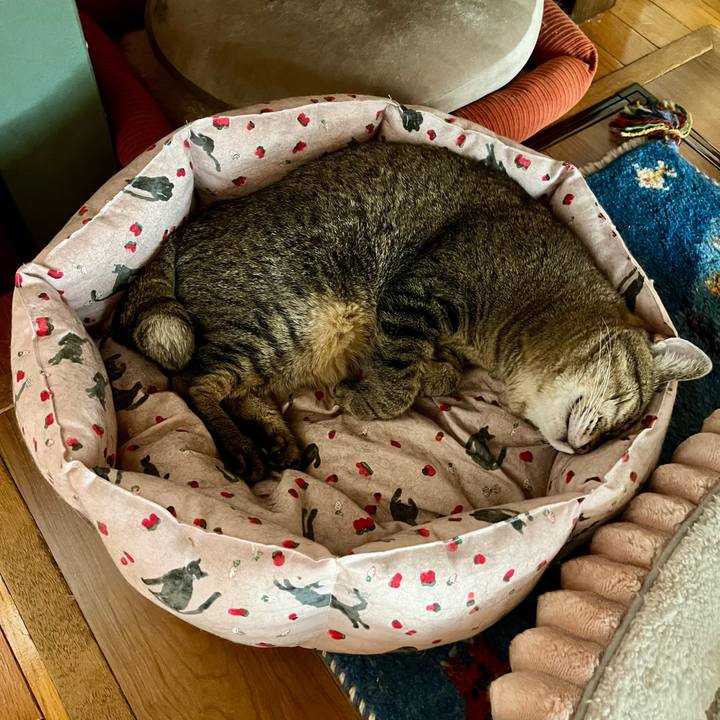 C8888005 ea3b 4fa1 abe3 afd9ecb747c5 1758594304738