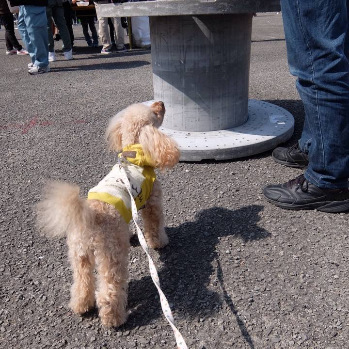 C889310b f87d 476b b169 75470b37ff70 1520855798150