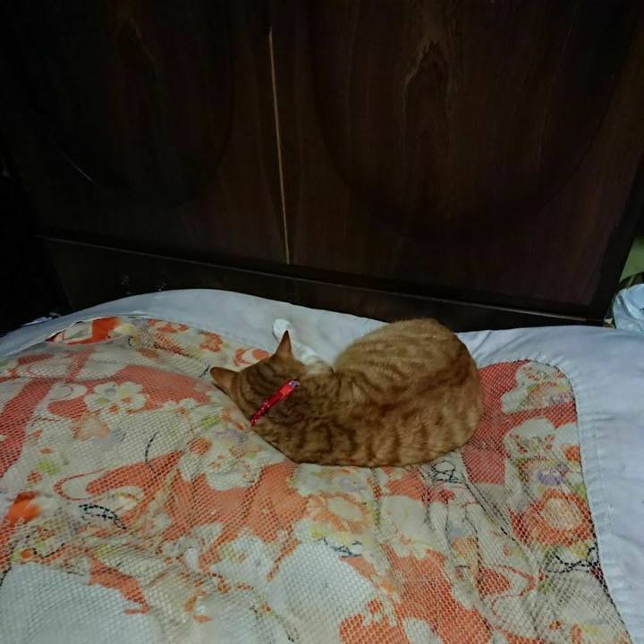 C8893491 42a4 4320 95af 76d63ae003af 1577709810123