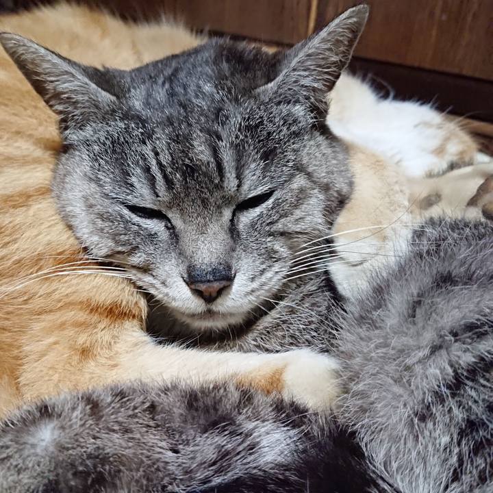 C88935ea 78ff 4a8d 9954 2c3c2982f657 1588252287712