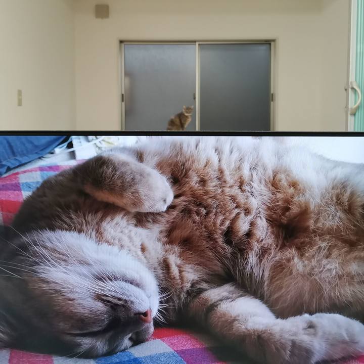 C889738c 4be8 494c b2b6 b4ed15461dc2 1614743497484