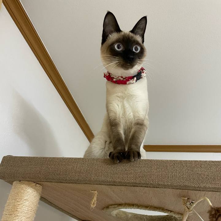 C889e805 b622 472d 806f bb74ef29f531 1705865522451