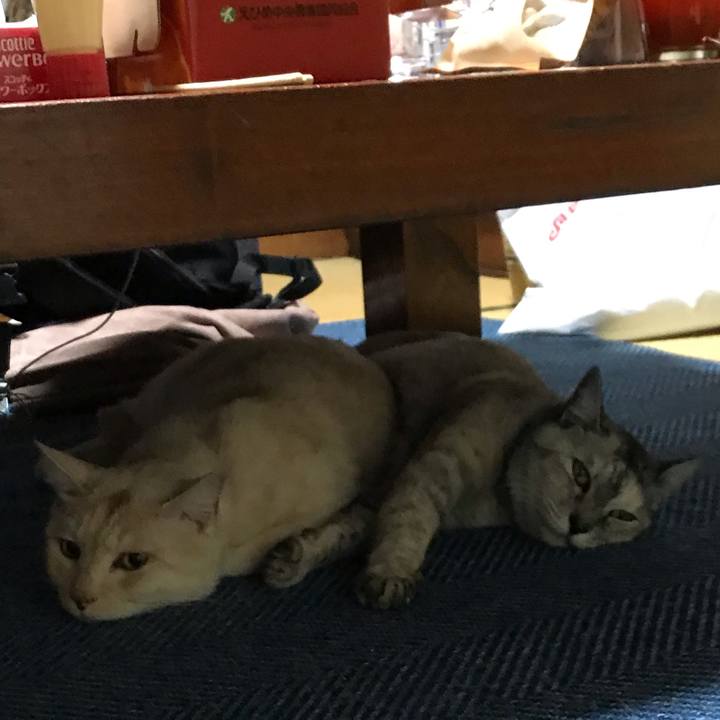 C889eb41 d9df 4523 85df beda3015a187 1578049561873