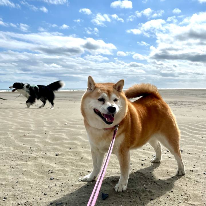 C889fd3c eb39 4f63 a3a8 b5b8ef61a2c6 1699019390053