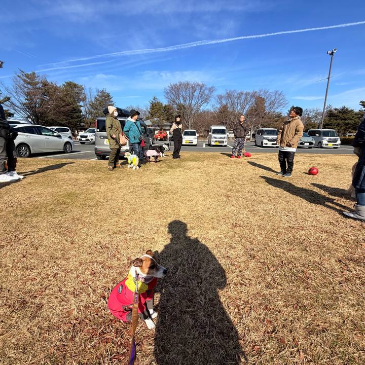 C88a0e52 c66a 4253 b08a 8c2608180fcf 1770703526747