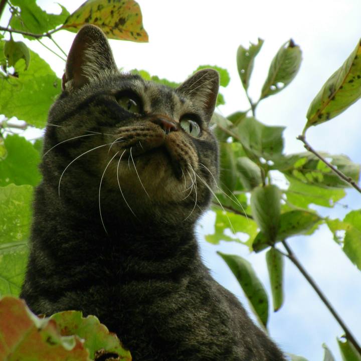 C88a2410 8e0b 4c43 9c69 0fdbac83ef37 1508833139793