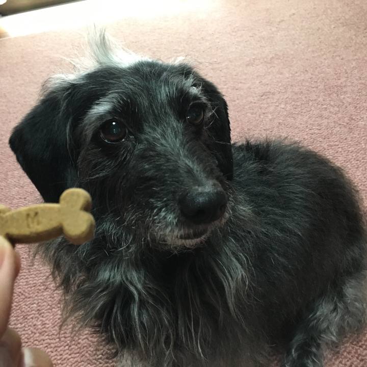 C88a4509 9edd 460d b4da 3f4ae334717a 1557875911323