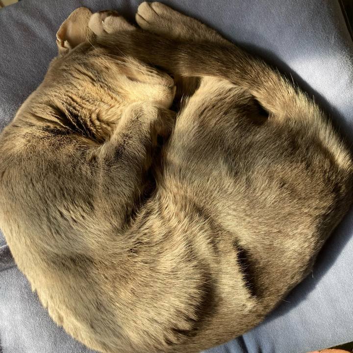 C88a6ec3 3c5c 4452 9f9f 29ca02a7a3df 1639969410925