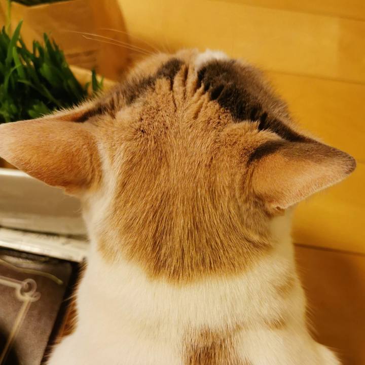 C88a7c3d 7f49 4bc8 ab8e e0f4c023e038 1615988474751