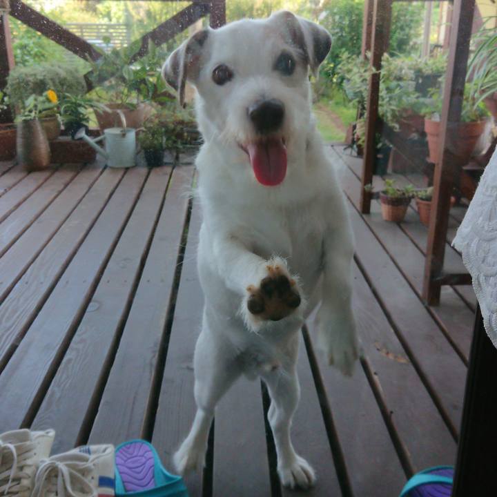 C88a84d1 336c 439d a28a 9f877f202325 1565830049077