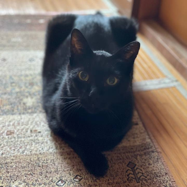 C88abd84 5b6d 419e a44d 9a9cdaed94e8 1633998300916