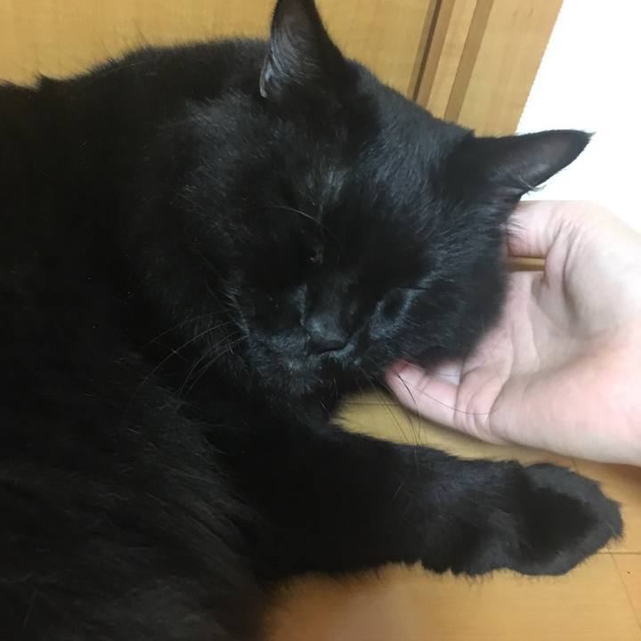 C88ad0c7 a6e4 4cd9 87b2 62074b9b2478 1537018541134