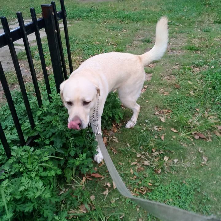 C88b0820 7a4a 4ff1 ba76 f5769905feb2 1571293423905