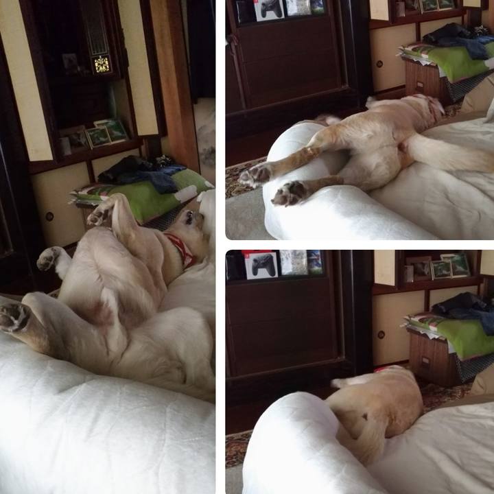 C88b0fe9 902a 4fd2 8b9e 10d7c5c6d6d5 1620693436132