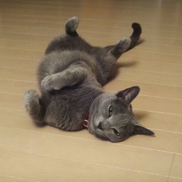 C88b1ed5 4c9a 4493 b042 6b80058ed6a5 1541670893152