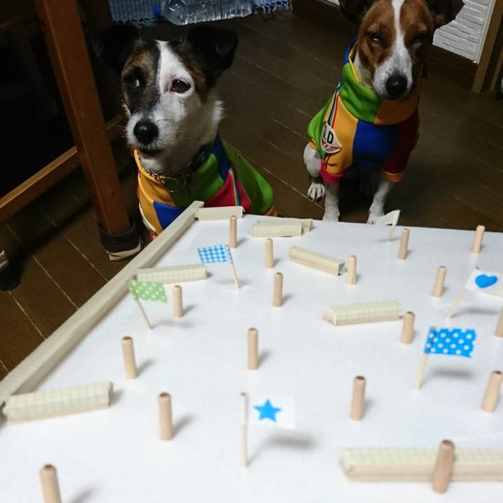 C88b3f37 5ab3 4aba 8765 515ccee0203b 1616074711910