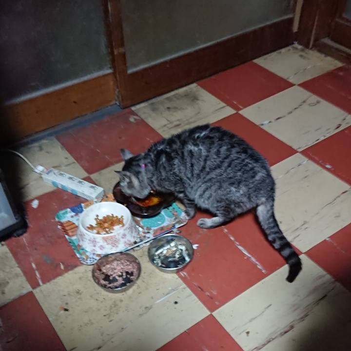 C88b65c4 32bd 47dc a4ac 3b1eece6d71d 1581196495592