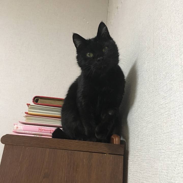 C88b7c57 21ca 47e2 88e7 47db68d2e813 1548339671542