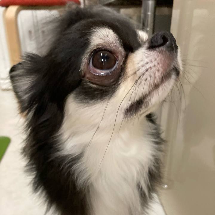 C88bac6b deab 4408 8df6 9eb363ce5cdc 1660226119815