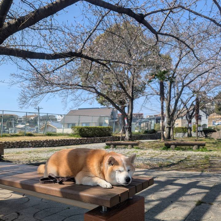 C88bcdd7 884e 4410 9b18 40dc33eb7708 1774573319082