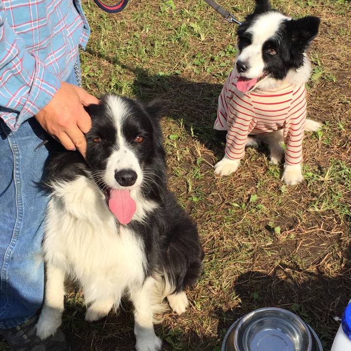 C88c12ed 1927 448b 9a01 8a4706c0ceb6 1572151337363