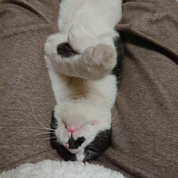 C88c5da3 809b 483a b1d9 9ddfc174213f 1649251843860