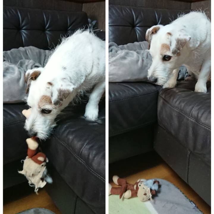 C88c6f47 80d8 49a1 99f7 fed2f96a208f 1551482253144