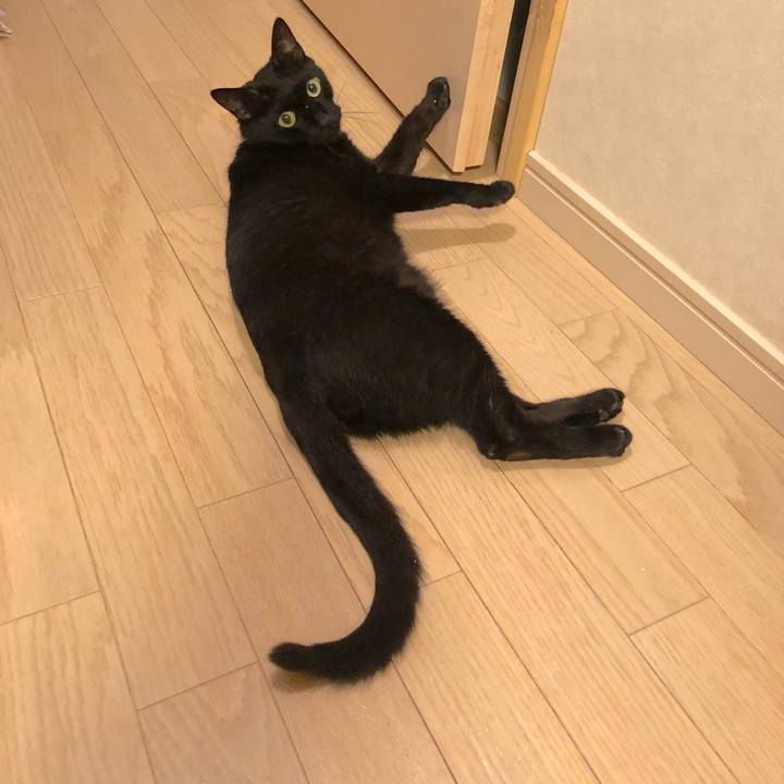 C88c7fce f8f3 4475 8cb2 b2dcf5edf1eb 1563282206090