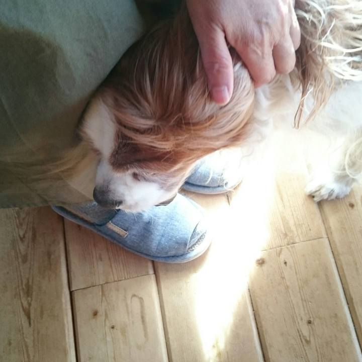 C88c9040 c1a8 485e baec dd89cc19e243 1554421044718