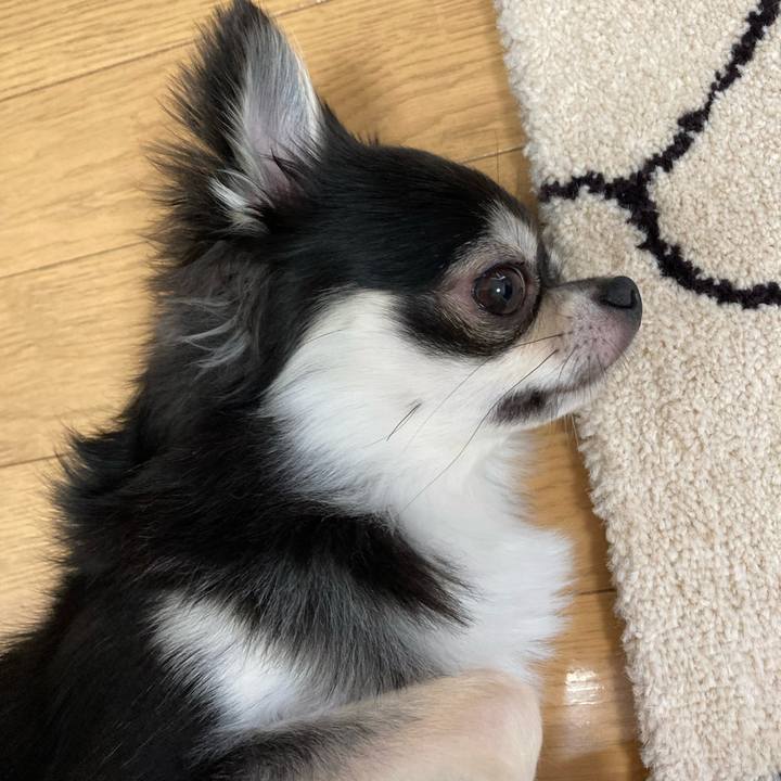 C88c9f2b 9d42 4c06 b8fc ccb4a3548d0d 1627185523700