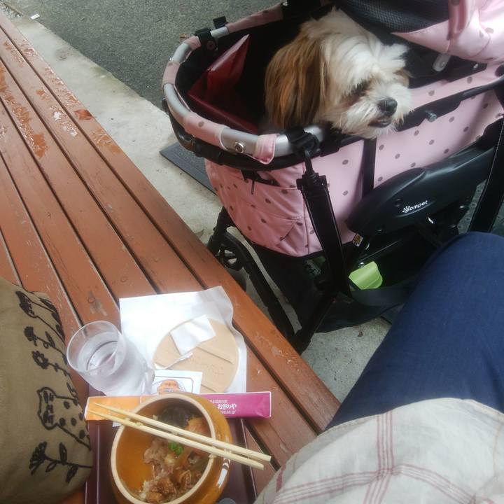 C88cb792 8662 49ae b054 e4cb157c9fc1 1533639561563