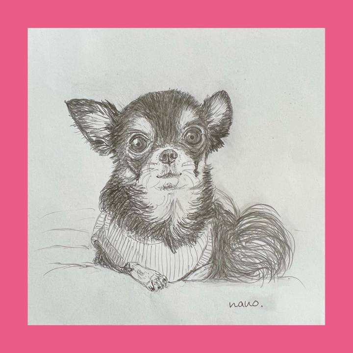 C88cedbd 5195 4cf6 9d0c 004098e7ed32 1677652847905