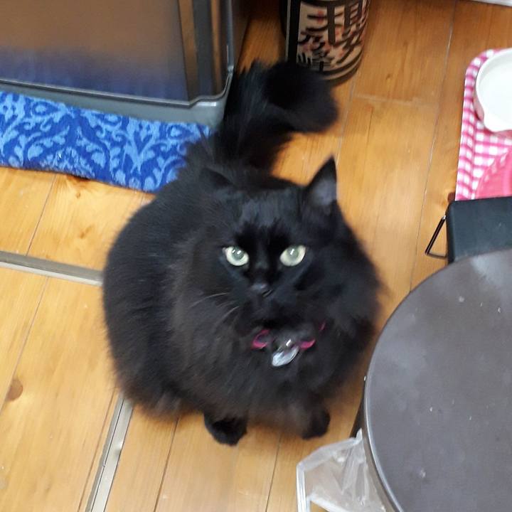 C88d09d8 1131 4f35 964c d2cc9e9547cb 1523091292168