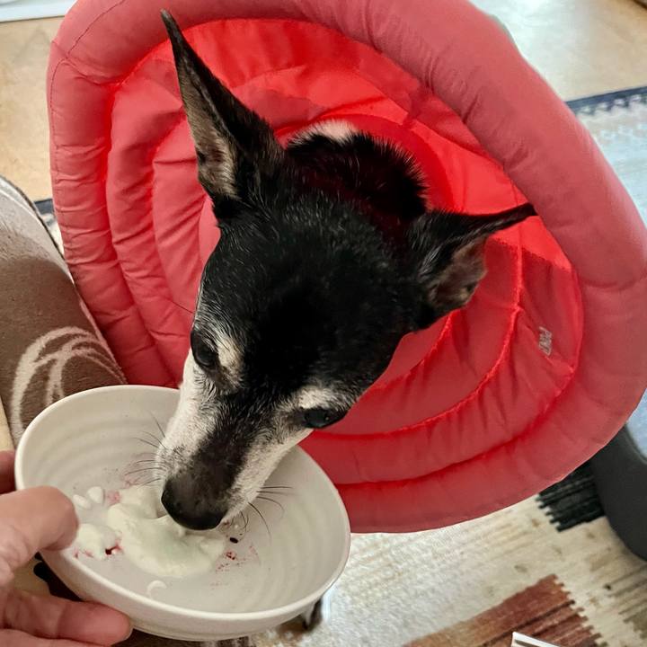 C88d19e0 1004 4754 8f06 54369e9591d5 1646261670671