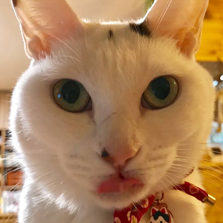 C88d1dd9 e962 434e 83a4 02e70c63b62f 1547419064694