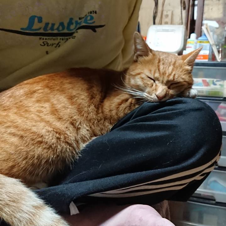 C88d1fcf 8eec 4a8a 978a 6d8da19f4ae0 1602622188245