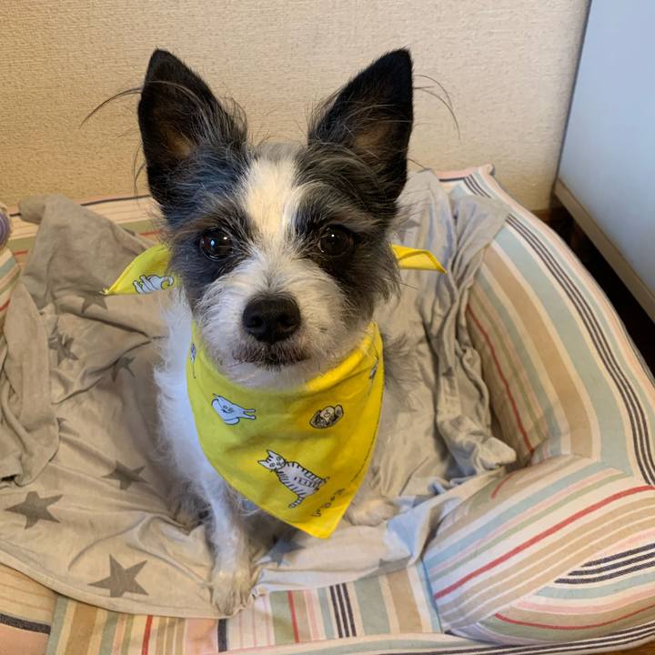 C88d5fc2 6c82 44a4 9bf0 350394dc01d8 1590825548135