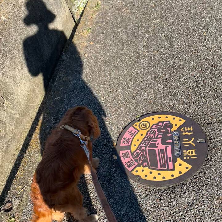 C88d6bc5 6d7c 4a12 9b1f 3d96938e2bda 1728776885449