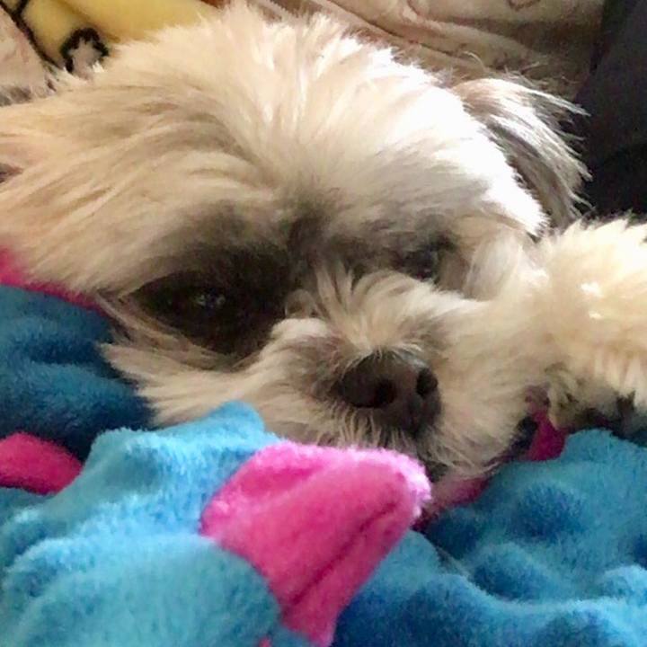 C88dc6ee bd56 4265 9ae1 fc22b9fe6920 1551855775910