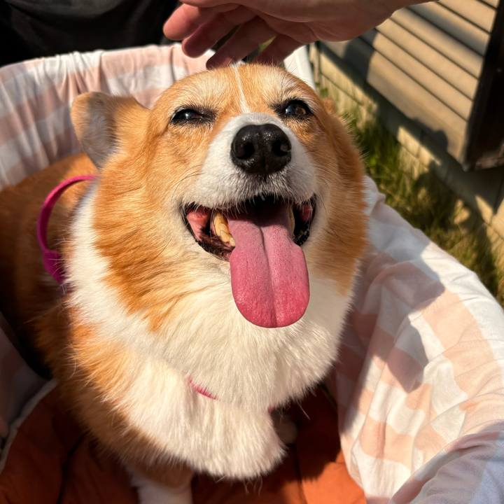 C88dd348 5b6f 4f68 b34c aad0fd4964b1 1728788012130