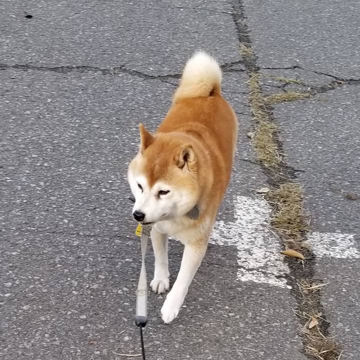 C88e0872 f524 4319 9f61 3b29b906efed 1636095496892