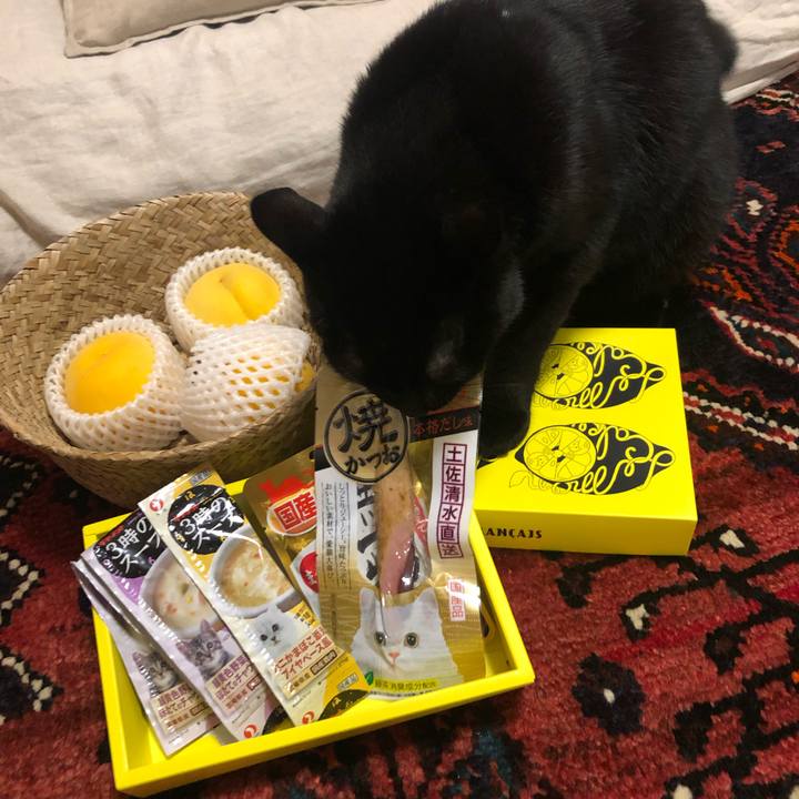 C88e1131 761c 4d7a 9d2d c848d47ac850 1568149756947