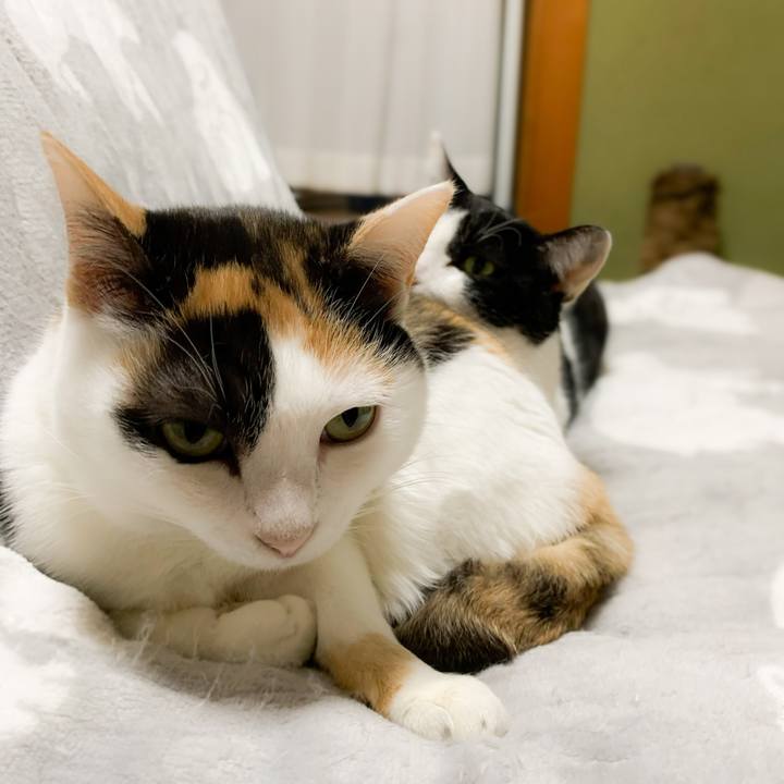 C88e1599 fcc3 4961 95f6 a7d4acff8956 1579830203014