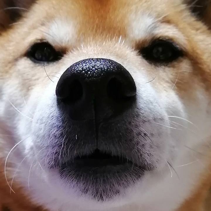 C88e2825 fbed 45c3 a5ff 4f6817d1d198 1640608094238