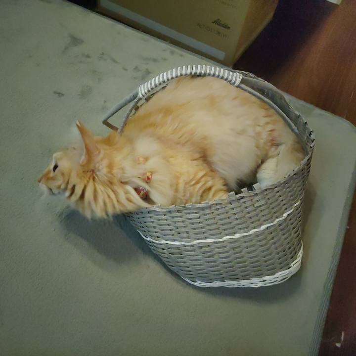 C88e5c64 2a5e 4fa0 be97 9bd60e010a26 1660047638589