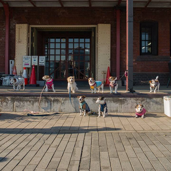 C88e684d 879a 42d1 82b2 3cae0edafd8a 1774179239043