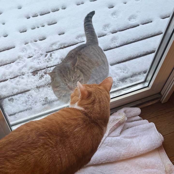 C88e7693 aa45 4945 a4ba 6fa26ff0ad14 1736634484708