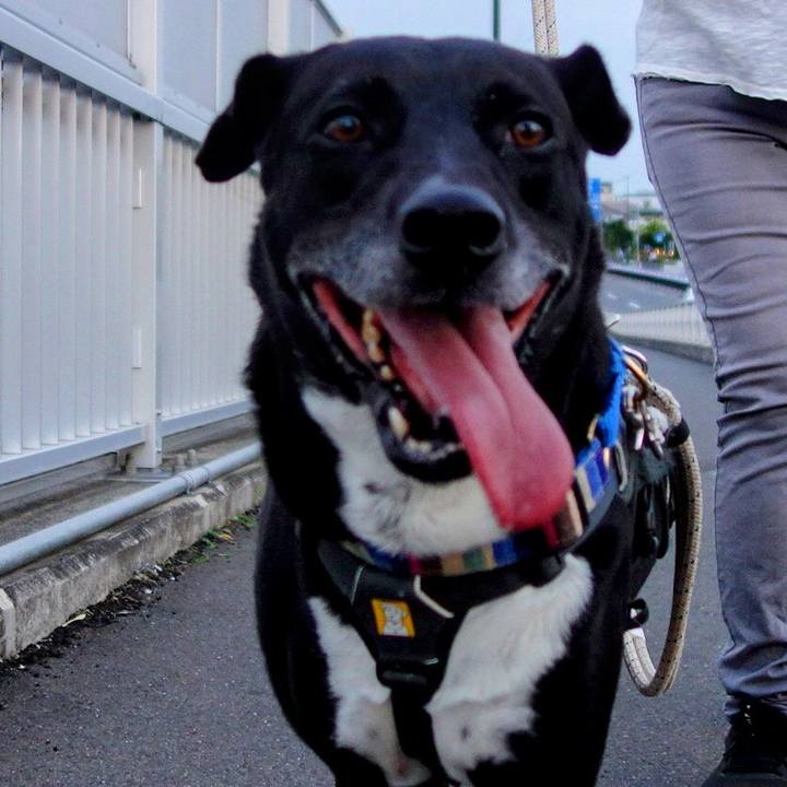 C88e88ed 2859 45b2 bc62 f73dad690a56 1655635436402